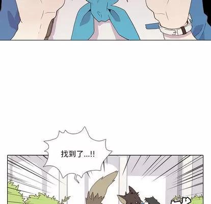 野性之城 野性之城 第9页