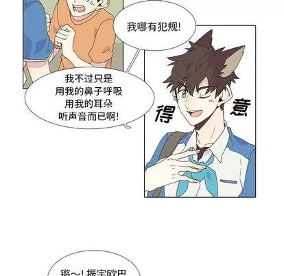 野性之城 野性之城 第11页