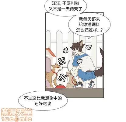 野性之城 野性之城 第25页