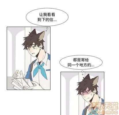 野性之城 野性之城 第35页