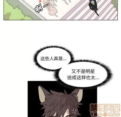 野性之城 野性之城 第40页