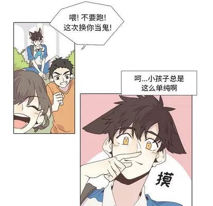 野性之城 野性之城 第13页