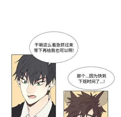 野性之城 野性之城 第57页