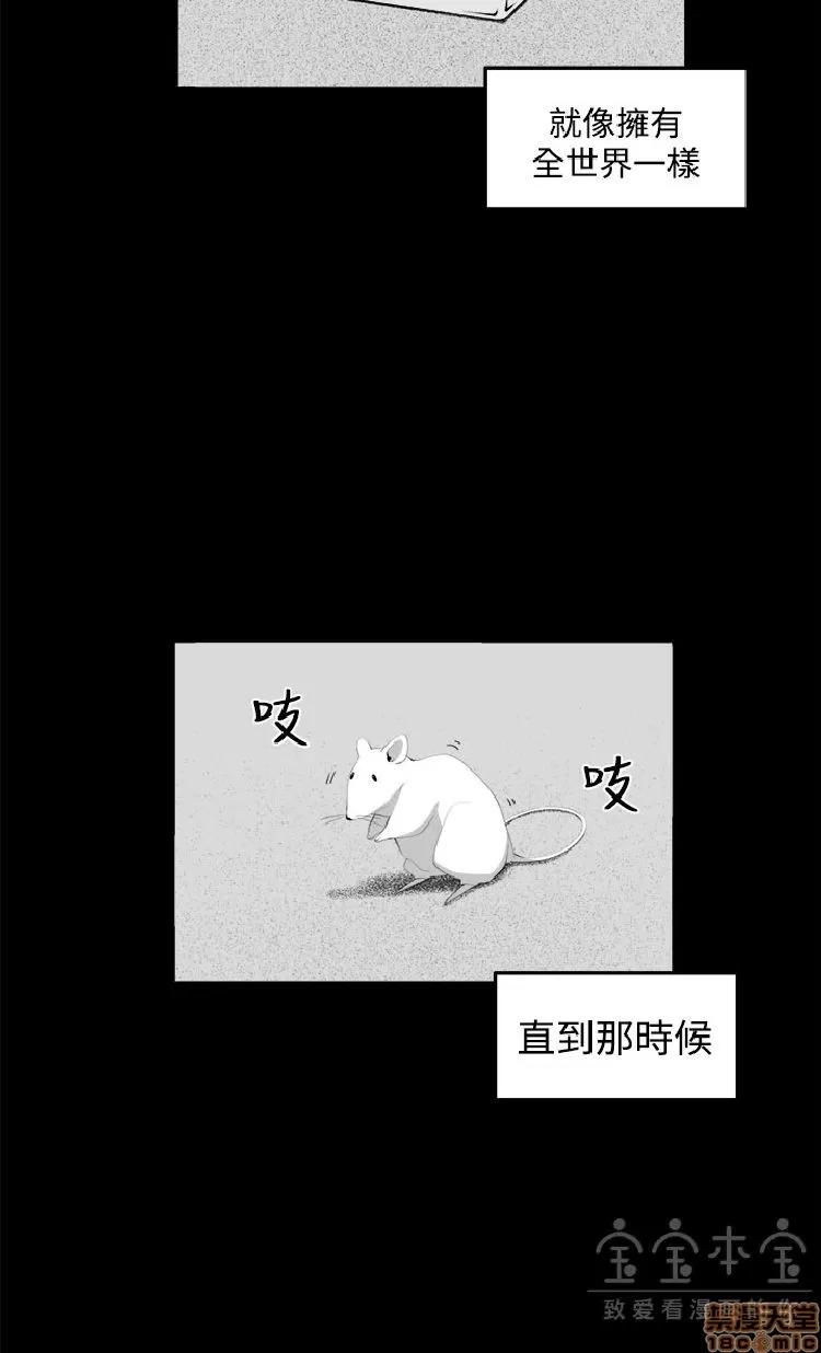 圈套 圈套 2 第356页