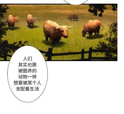 她的召唤兽 她的召唤兽 | 第13章 第49页