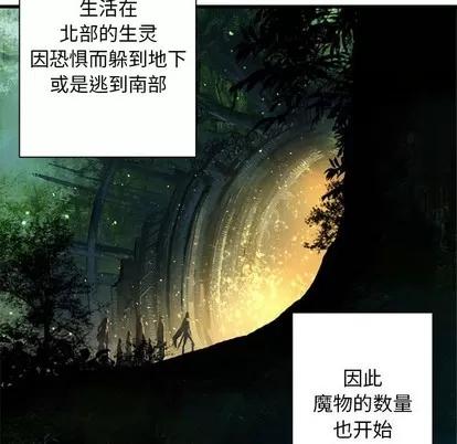 她的召唤兽 她的召唤兽 | 第67章 第27页