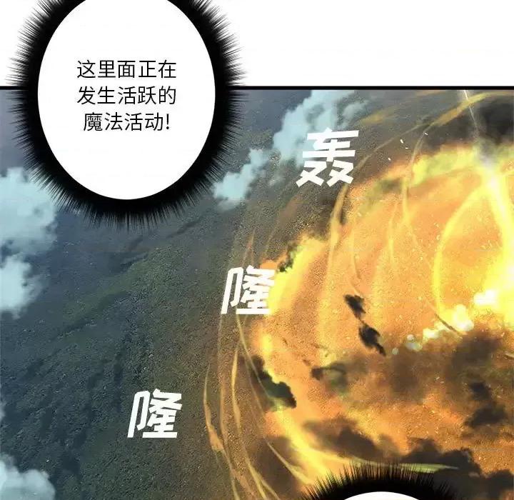 她的召唤兽 她的召唤兽第 104 话 第79页
