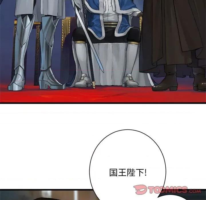 她的召唤兽 她的召唤兽第 110 话 第74页