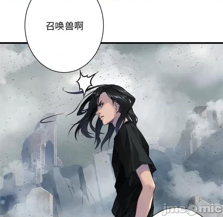 她的召唤兽 她的召唤兽第 112 话 第45页