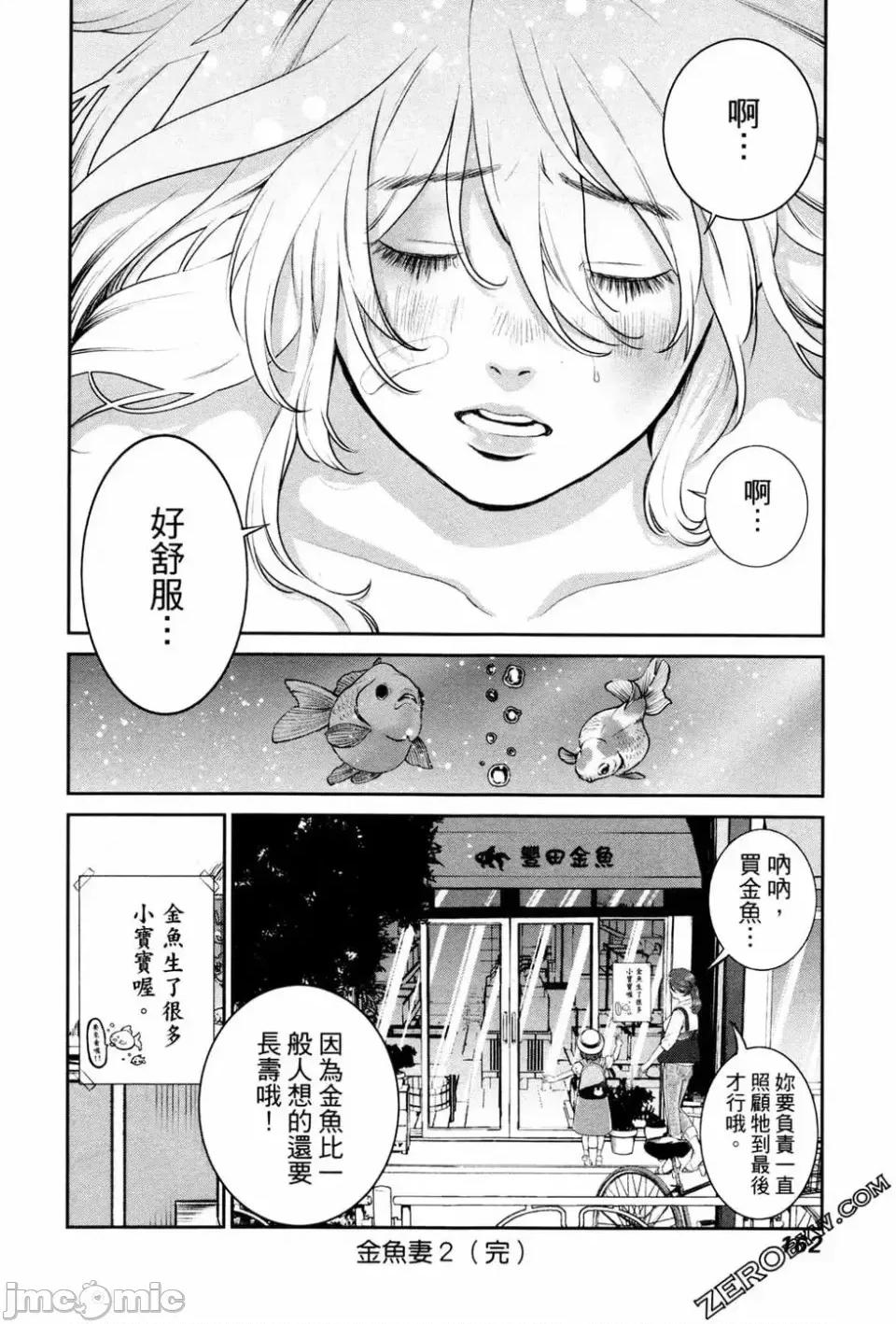 金鱼妻 金鱼妻 2 第164页