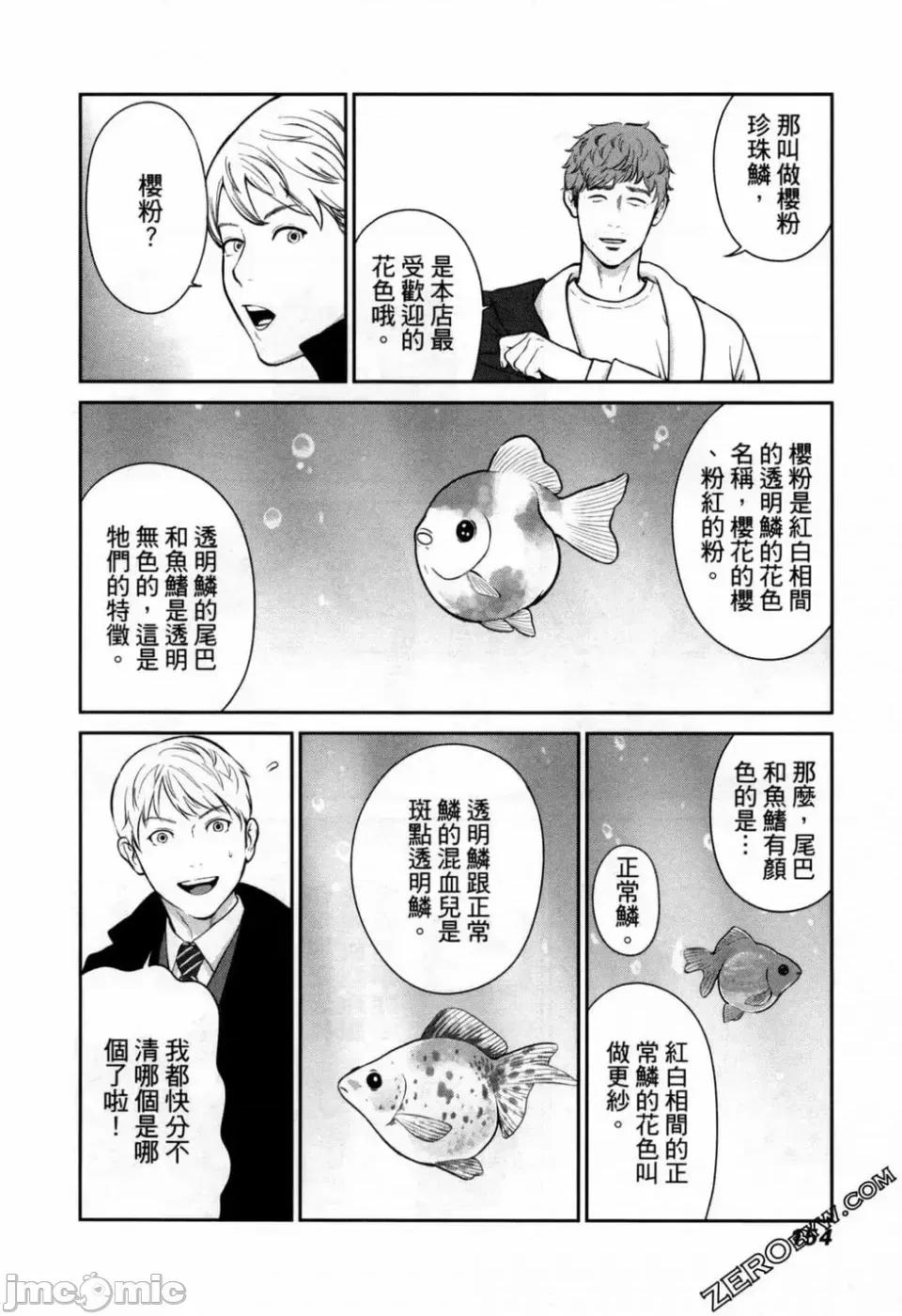 金鱼妻 金鱼妻 3 第156页
