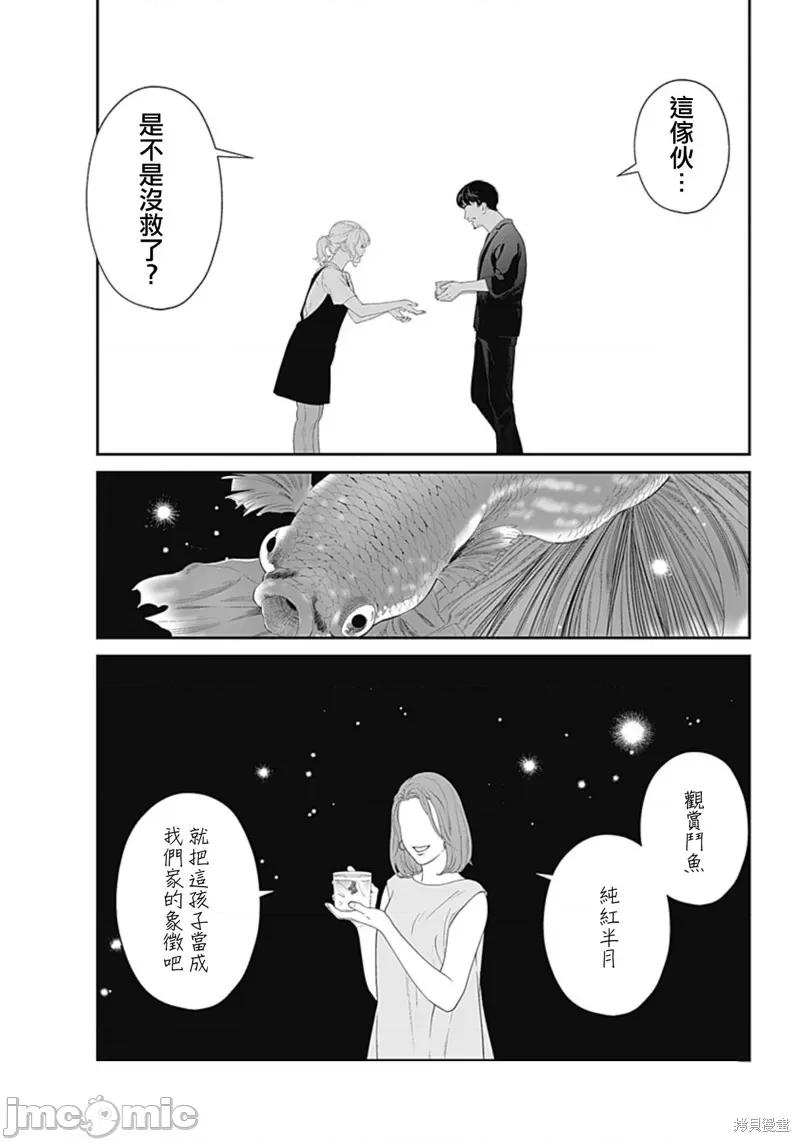 金鱼妻 金鱼妻 第17页
