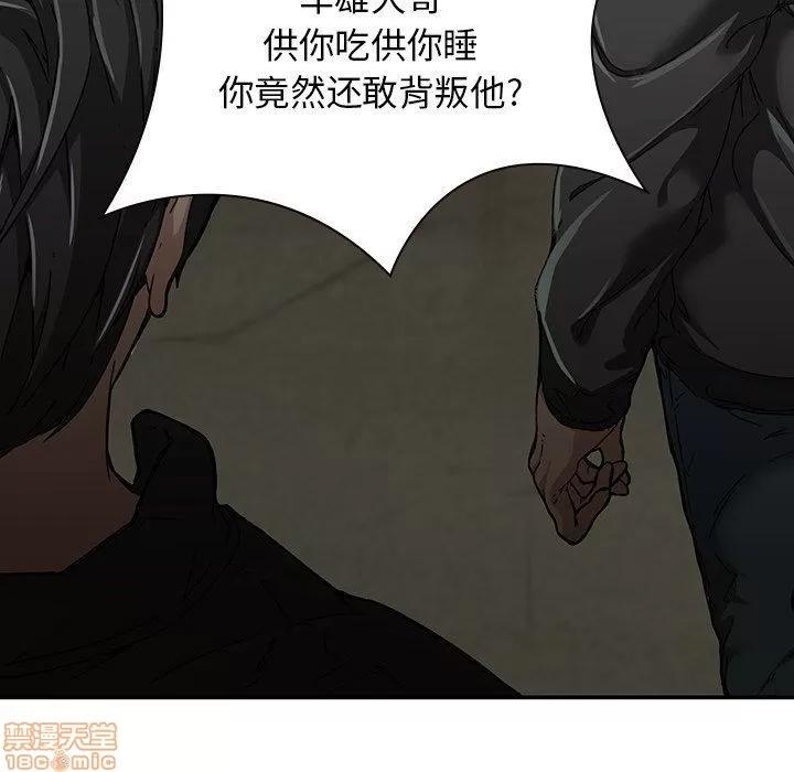 二十岁 二十岁_06.zip 第13页