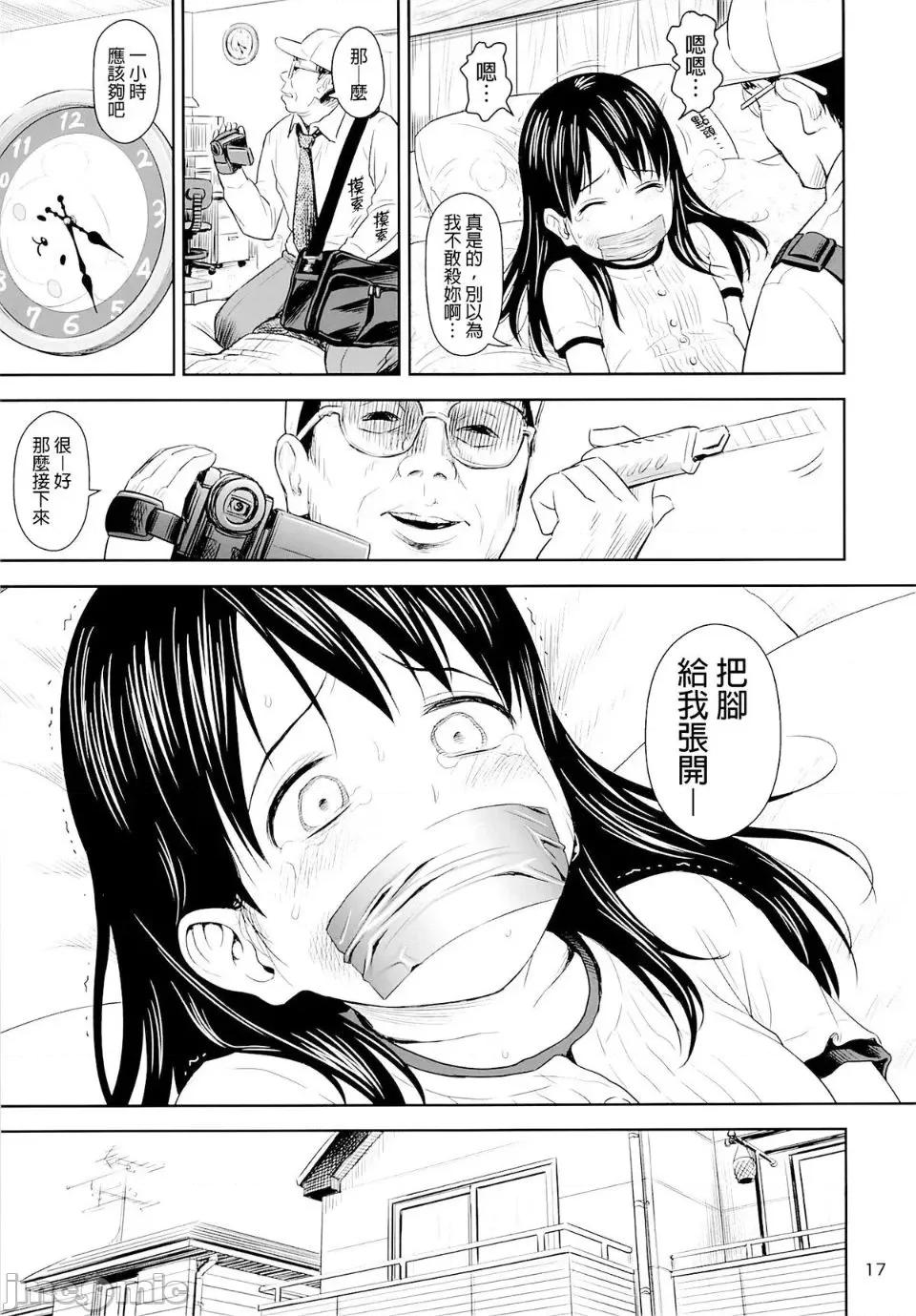 放射性物质检测器全集 >无修正版 盖格计数器 放射性物质检测器全集 第17页