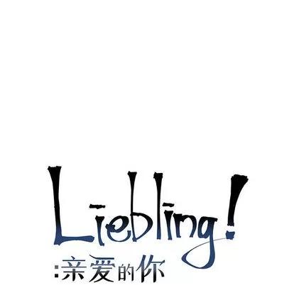 亲爱的你-Liebling！ 亲爱的你-Liebling！ | 第6章 第11页