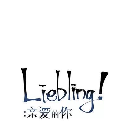 亲爱的你-Liebling！ 亲爱的你-Liebling！ | 第12章 第9页