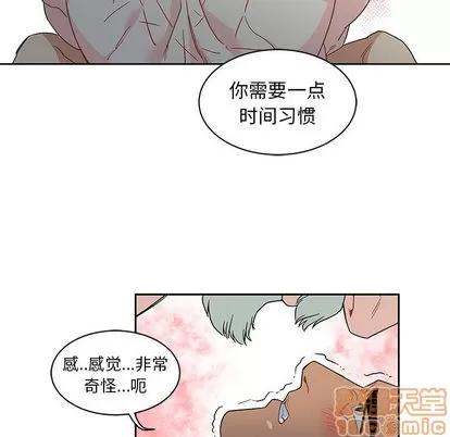 亲爱的你-Liebling！ 亲爱的你-Liebling！ | 第12章 第65页