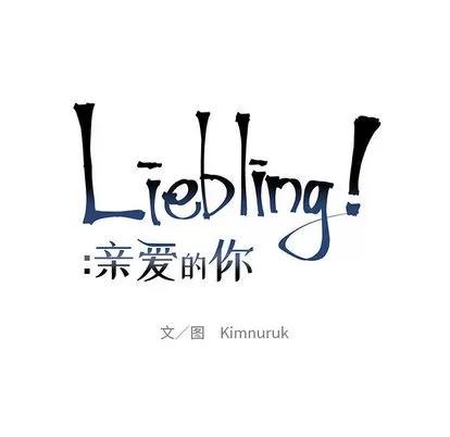 亲爱的你-Liebling！ 亲爱的你-Liebling！ | 第13章 第9页