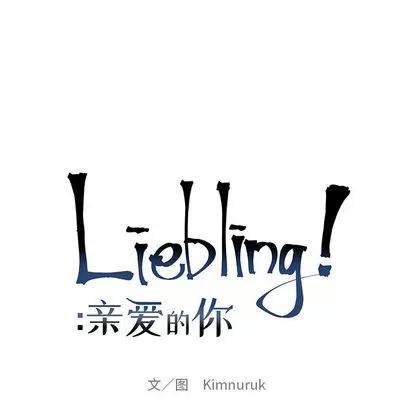 亲爱的你-Liebling！ 亲爱的你-Liebling！ | 第14章 第11页