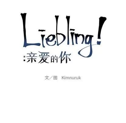 亲爱的你-Liebling！ 亲爱的你-Liebling！ | 第33章 第13页