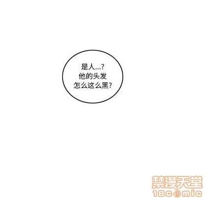 亲爱的你-Liebling！ 亲爱的你-Liebling！ | 第46章 第85页
