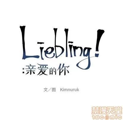 亲爱的你-Liebling！ 亲爱的你-Liebling！ | 第61章 第25页