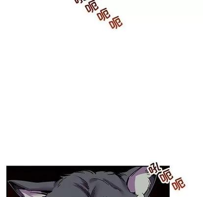 亲爱的你-Liebling！ 亲爱的你-Liebling！ | 第63章 第41页