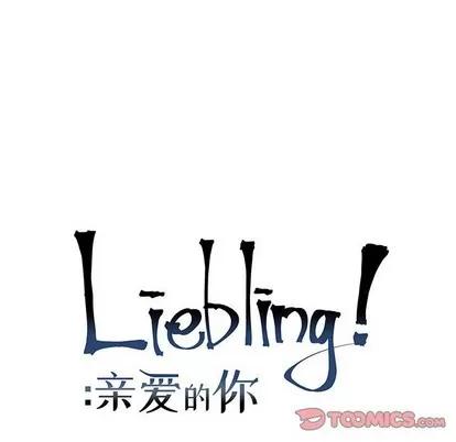 亲爱的你-Liebling！ 亲爱的你-Liebling！ | 第65章 第28页
