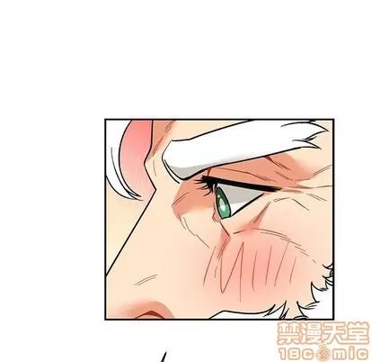亲爱的你-Liebling！ 亲爱的你-Liebling！ | 第68章 第65页
