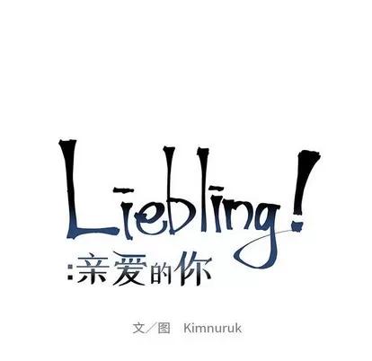 亲爱的你-Liebling！ 亲爱的你-Liebling！ | 第71章 第28页