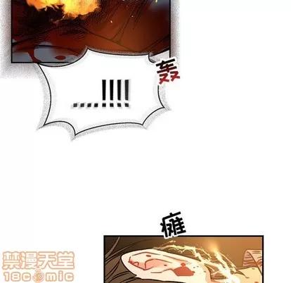 亲爱的你-Liebling！ 亲爱的你-Liebling！ | 第72章 第95页