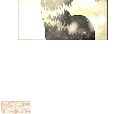 亲爱的你-Liebling！ 亲爱的你-Liebling！ | 第74章 第80页