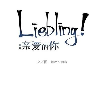 亲爱的你-Liebling！ 亲爱的你-Liebling！ | 第78章 第18页