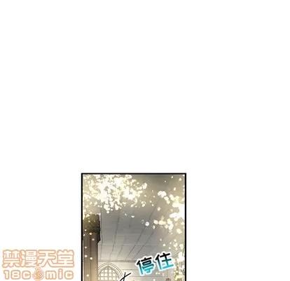 亲爱的你-Liebling！ 亲爱的你-Liebling！ | 第78章 第105页