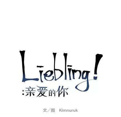 亲爱的你-Liebling！ 亲爱的你-Liebling！ | 第81章 第17页