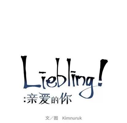 亲爱的你-Liebling！ 亲爱的你-Liebling！ | 第84章 第23页