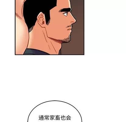 亲爱的你-Liebling！ 亲爱的你-Liebling！ | 第84章 第109页