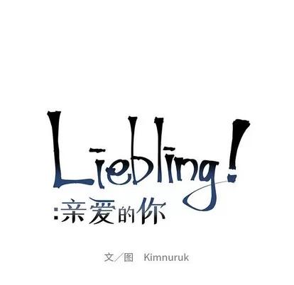 亲爱的你-Liebling！ 亲爱的你-Liebling！ | 第87章 第29页