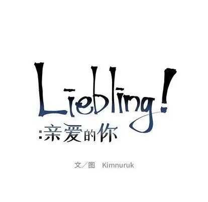 亲爱的你-Liebling！ 亲爱的你-Liebling！ | 第95章 第28页