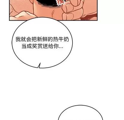 亲爱的你-Liebling！ 亲爱的你-Liebling！ | 第95章 第151页