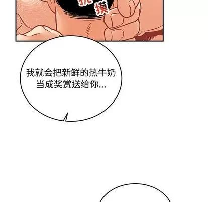 亲爱的你-Liebling！ 亲爱的你-Liebling！ | 第96章 第14页