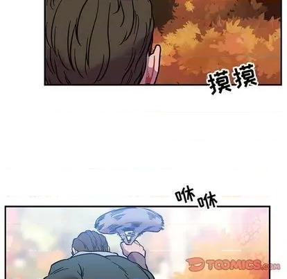 亲爱的你-Liebling！ 亲爱的你-Liebling！ | 第101章 第81页