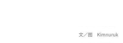 亲爱的你-Liebling！ 亲爱的你-Liebling！ | 第102章 第153页