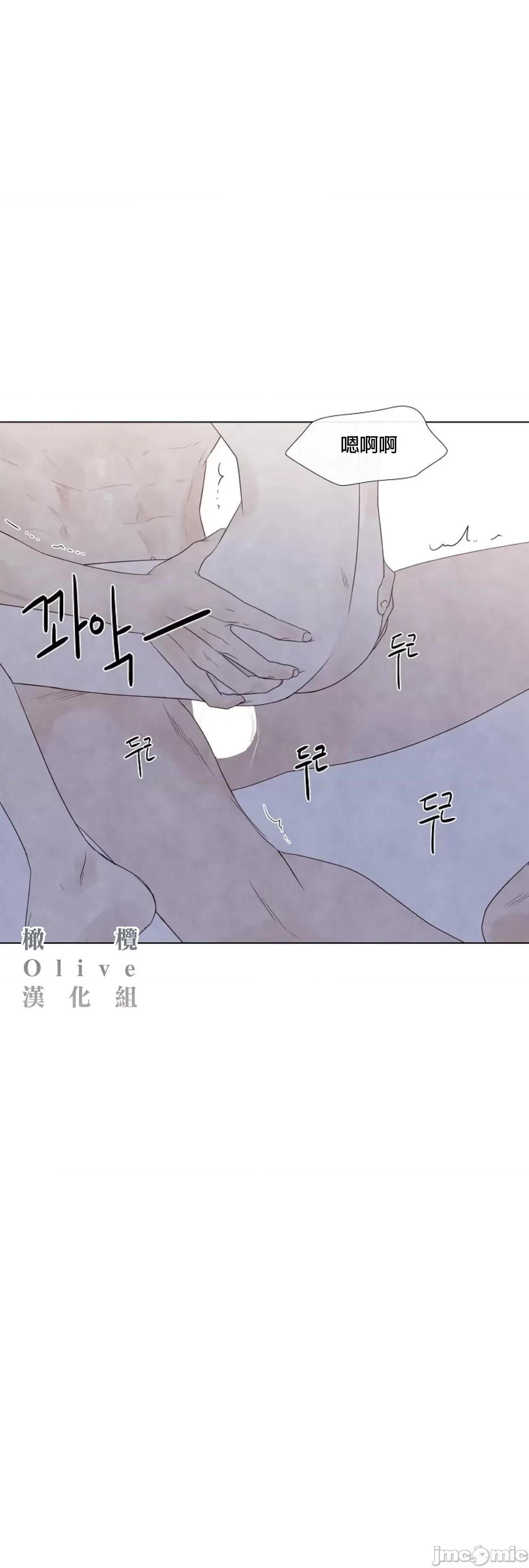 夏至点 夏至点 11-19 第242页