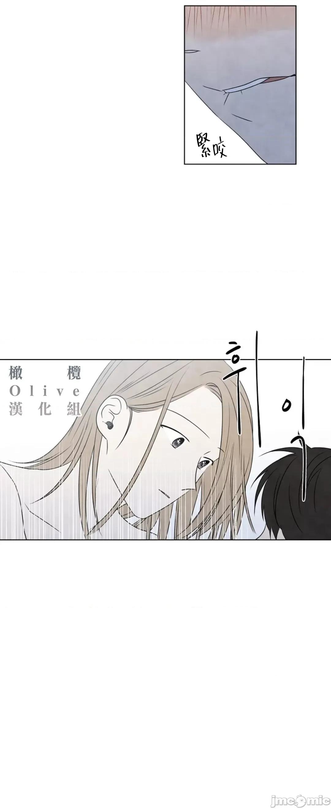 夏至点 夏至点 11-19 第286页