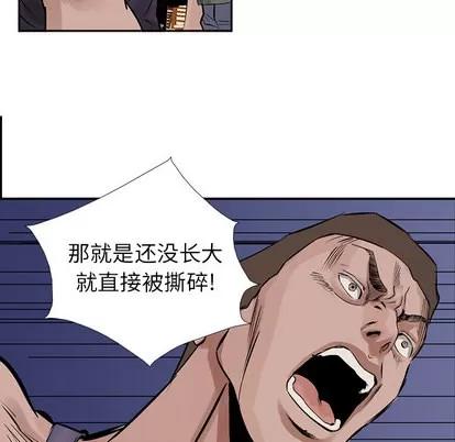 统帅：前传 统帅：前传 | 第16章 第29页