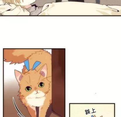 神父的病历簿 神父的病历簿 | 第5章 第26页