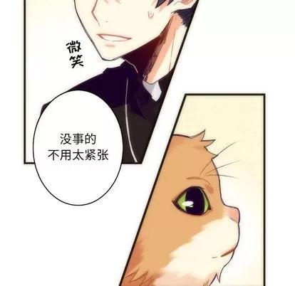 神父的病历簿 神父的病历簿 | 第5章 第29页