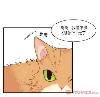 神父的病历簿 神父的病历簿 | 第15章 第14页