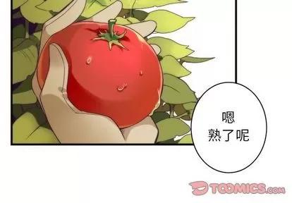 神父的病历簿 神父的病历簿 | 第16章 第3页